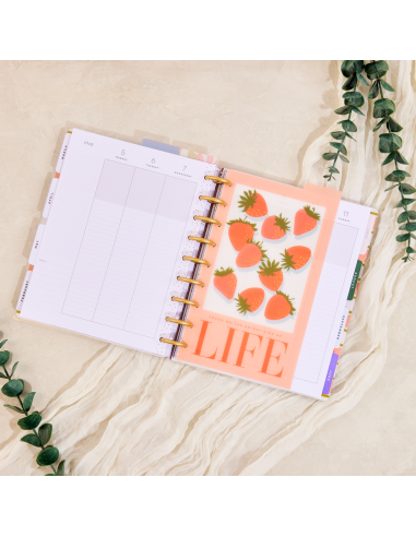 CLASSIC - 3 intercalaires en plastique - Spring Market