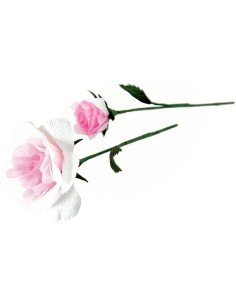 KIT complet DIY, pour créer des roses en papier 2
