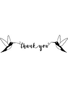 Tampon e thank you colibris
