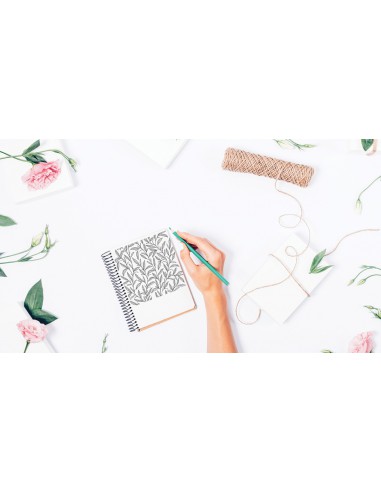 Stampo bullet journal organisation bureau