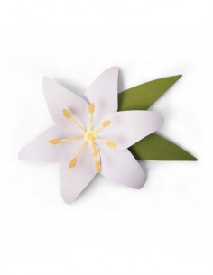 Matrice de découpe Bigz L  - Lily