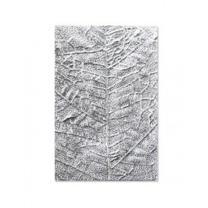 Leaf Veins - nervure des feuilles