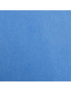 Feuille MAYA 270G 50X70 BLEU