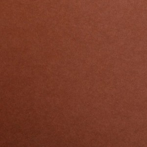 Feuille MAYA 270G 50X70 MARRON