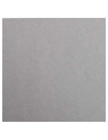 Feuille MAYA 270G 50X70 GRIS ACIER