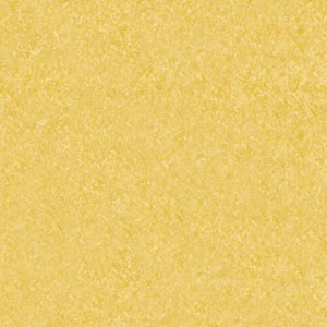 MAYA 270G 50X70 OR