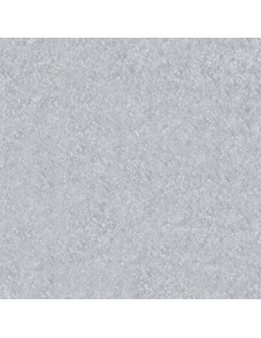 Feuille MAYA 270G 50X70 ARGENT