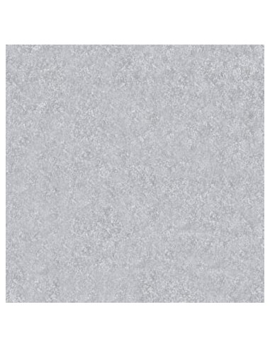 Feuille MAYA 270G 50X70 ARGENT