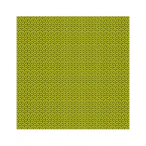 Bloc papier 30 x 30cm - 6 feuillets photos Vert - 170g/m2 - imprimé recto et verso