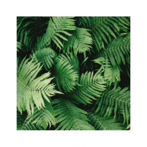 Bloc papier 30 x 30cm - 6 feuillets photos Vert - 170g/m2 - imprimé recto et verso
