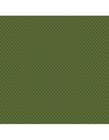 Bloc papier 30 x 30cm - 6 feuillets photos Vert - 170g/m2 - imprimé recto et verso