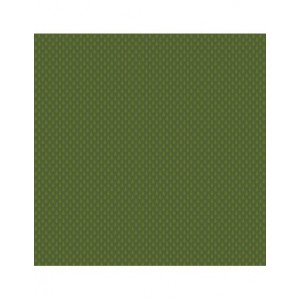 Bloc papier 30 x 30cm - 6 feuillets photos Vert - 170g/m2 - imprimé recto et verso