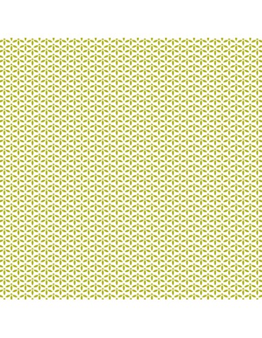 Bloc papier 30 x 30cm - 6 feuillets photos Vert - 170g/m2 - imprimé recto et verso