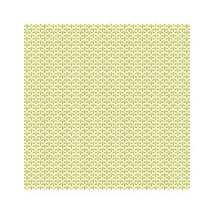 Bloc papier 30 x 30cm - 6 feuillets photos Vert - 170g/m2 - imprimé recto et verso