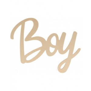 mot bois Boy