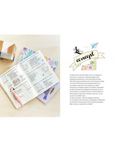 ~ Petit guide pour grand Bullet - Astuces et conseils illustrés pour réussir votre Bullet Journal - Le Temps Apprivoisé