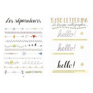 ~ Petit guide pour grand Bullet - Astuces et conseils illustrés pour réussir votre Bullet Journal - Le Temps Apprivoisé