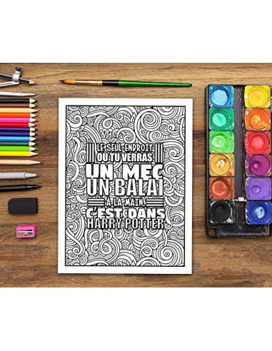 J'utilise le sarcasme parce que tuer c'est illégal  : livre de coloriage