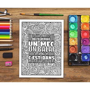 J'utilise le sarcasme parce que tuer c'est illégal