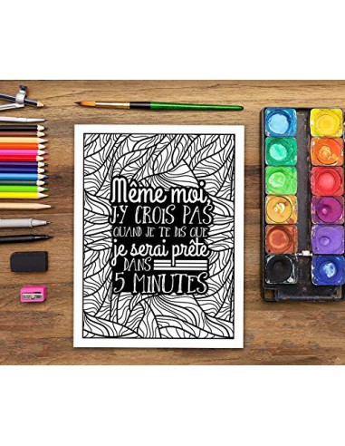 J'utilise le sarcasme parce que tuer c'est illégal  : livre de coloriage