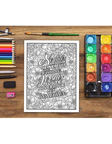 J'utilise le sarcasme parce que tuer c'est illégal  : livre de coloriage