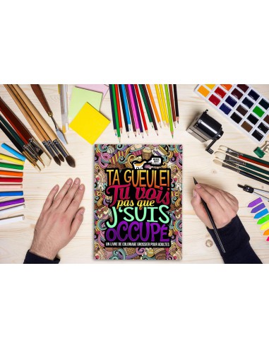 Ta gueule ! Tu vois pas que j‘suis occupé : Coloriages grossiers pour adultes