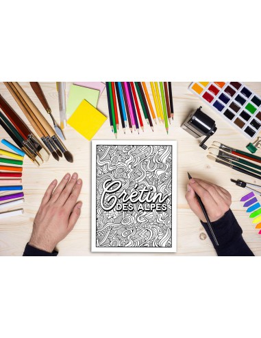 Ta gueule ! Tu vois pas que j‘suis occupé : Coloriages grossiers pour adultes