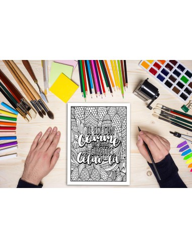 Ta gueule ! Tu vois pas que j‘suis occupé : Coloriages grossiers pour adultes