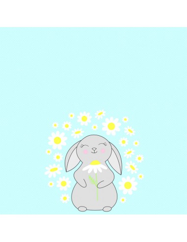 Set 6 feuilles imprimées recto/verso 30,5X30,5cm - Lapin paquerette