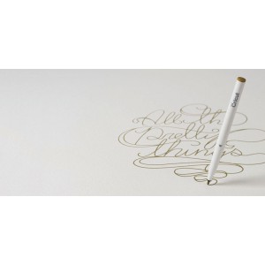CRICUT - 5 STYLOS METALLIQUES CUIVRE OR ARGENT BLEU VIOLET
