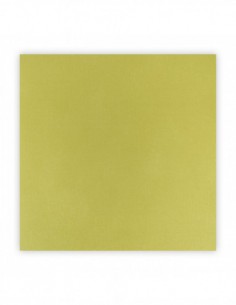 CARDSTOCK ADHESIF 1 feuille 30,5 x 30,5cm - ANIS