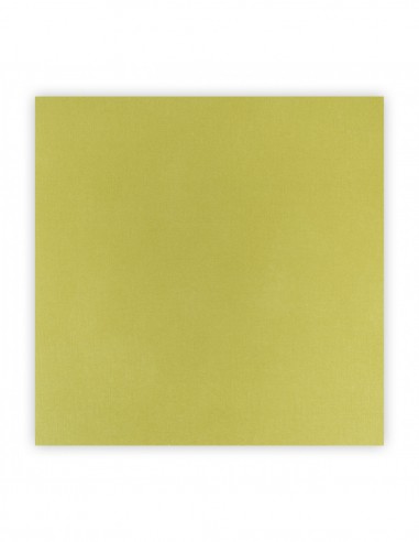 CARDSTOCK ADHESIF 1 feuille 30,5 x 30,5cm - ANIS