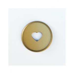 MEDIUM - 9 anneaux en plastique - Gold