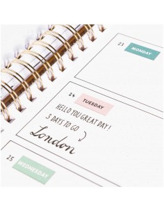 4 planches AUTOCOLLANTS bullet / agenda - SEMAINE vert 2