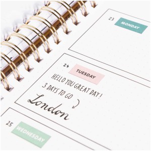 4 planches AUTOCOLLANTS bullet / agenda - SEMAINE vert