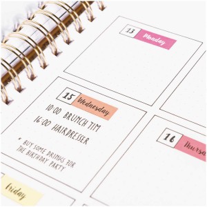 4 planches AUTOCOLLANTS bullet / agenda - SEMAINE rose