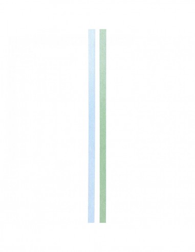 Washi tape fin 2 rouleaux - irisé MENTHE/AQUA