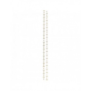 Washi tape fin 2 rouleaux - BLANC  foil or - jours / chiffres 1 à 31