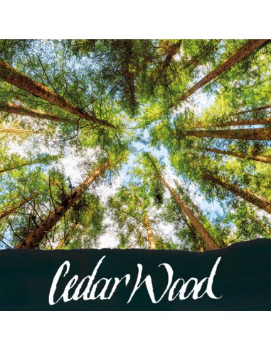 Encrier noir - encre parfumée au bois de Cédar