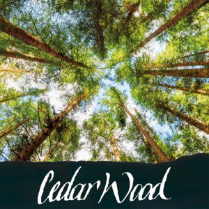 Encrier noir - encre parfumée au bois de Cédar
